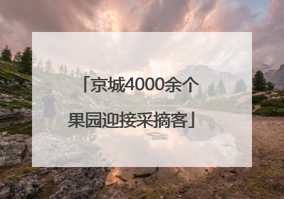 京城4000余个果园迎接采摘客