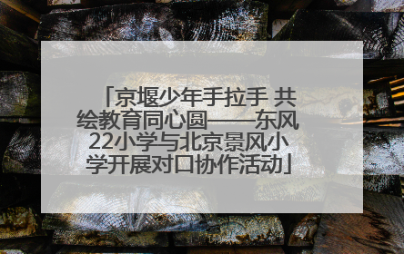 京堰少年手拉手 共绘教育同心圆——东风22小学与北京景风小学开展对口协作活动
