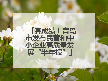 亮成绩！青岛市发布民营和中小企业高质量发展“半年报”