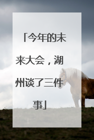 今年的未来大会，湖州谈了三件事