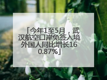 今年1至5月，武汉航空口岸免签入境外国人同比增长160.87%