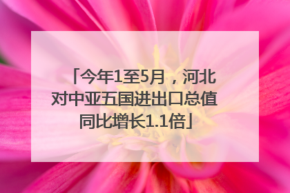 今年1至5月，河北对中亚五国进出口总值同比增长1.1倍