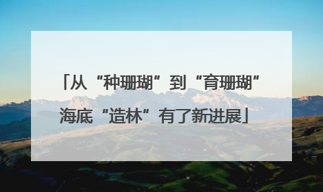 从“种珊瑚”到“育珊瑚” 海底“造林”有了新进展