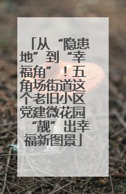 从“隐患地”到“幸福角”！五角场街道这个老旧小区党建微花园“靓”出幸福新图景