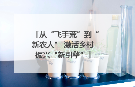 从“飞手荒”到“新农人” 激活乡村振兴“新引擎”