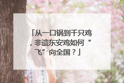从一口锅到千只鸡，非遗东安鸡如何“飞”向全国？