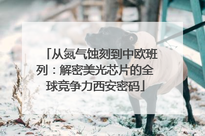 从氮气蚀刻到中欧班列：解密美光芯片的全球竞争力西安密码
