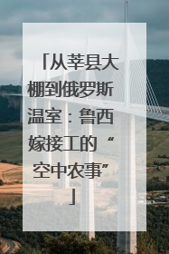 从莘县大棚到俄罗斯温室：鲁西嫁接工的“空中农事”