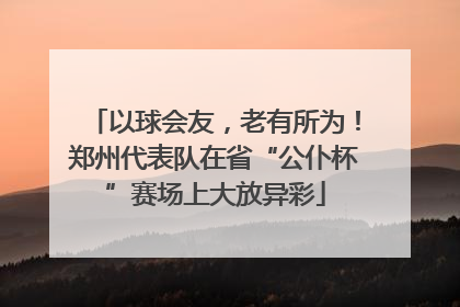 以球会友，老有所为！郑州代表队在省“公仆杯”赛场上大放异彩