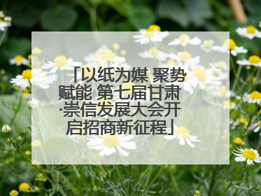 以纸为媒 聚势赋能 第七届甘肃·崇信发展大会开启招商新征程