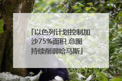 以色列计划控制加沙75%面积 意图持续削弱哈马斯