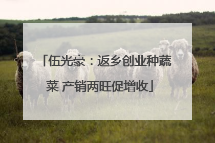 伍光豪：返乡创业种蔬菜 产销两旺促增收