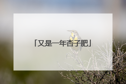 又是一年杏子肥