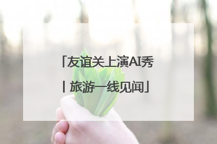 友谊关上演AI秀丨旅游一线见闻