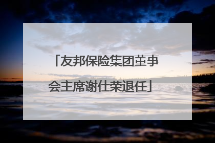 友邦保险集团董事会主席谢仕荣退任