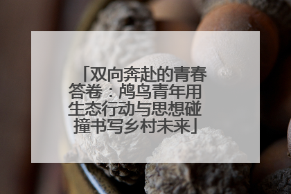 双向奔赴的青春答卷：鸬鸟青年用生态行动与思想碰撞书写乡村未来