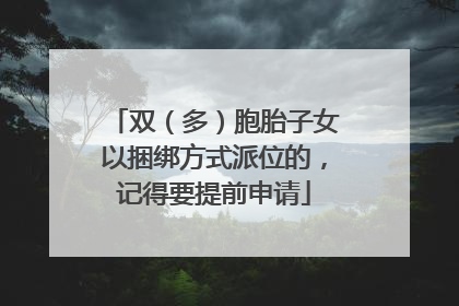 双（多）胞胎子女以捆绑方式派位的，记得要提前申请