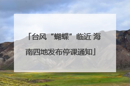 台风“蝴蝶”临近 海南四地发布停课通知