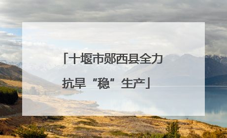 十堰市郧西县全力抗旱“稳”生产