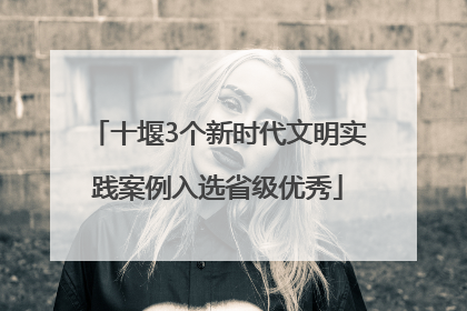 十堰3个新时代文明实践案例入选省级优秀