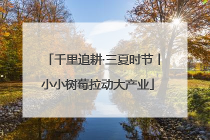 千里追耕·三夏时节丨小小树莓拉动大产业