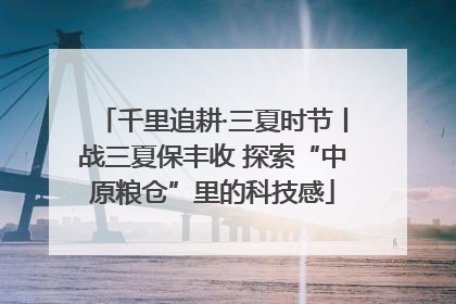 千里追耕·三夏时节丨战三夏保丰收 探索“中原粮仓”里的科技感