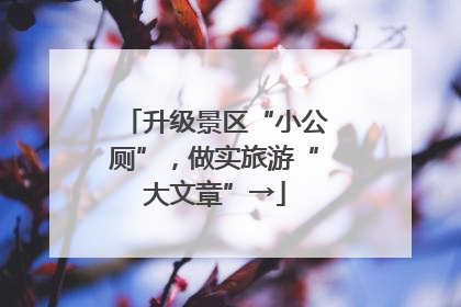 升级景区“小公厕”，做实旅游“大文章”→