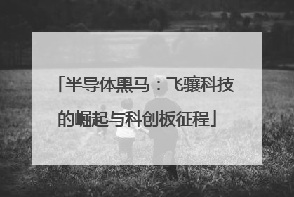 半导体黑马：飞骧科技的崛起与科创板征程