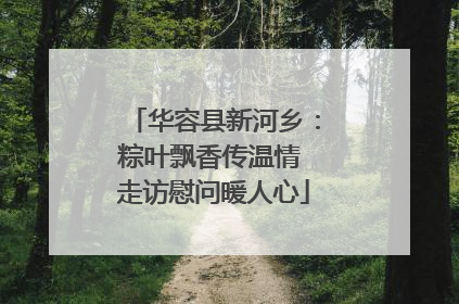华容县新河乡：粽叶飘香传温情 走访慰问暖人心