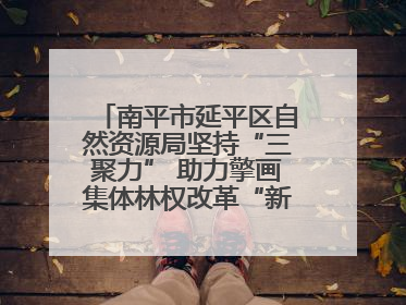 南平市延平区自然资源局坚持“三聚力” 助力擎画集体林权改革“新图景”