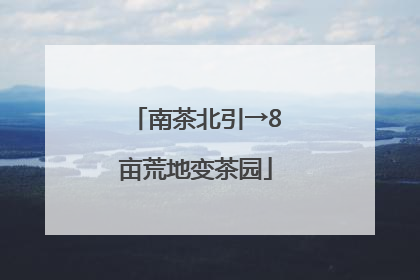 南茶北引→8亩荒地变茶园