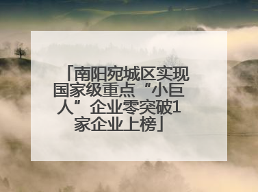 南阳宛城区实现国家级重点“小巨人”企业零突破1家企业上榜