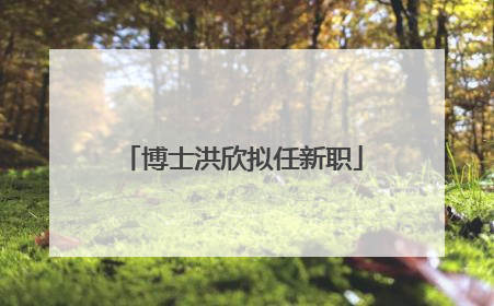 博士洪欣拟任新职