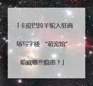 卡皮巴拉羊驼入驻商场写字楼 “萌宠馆”暗藏哪些隐患？