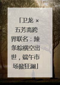 卫龙 × 五芳斋跨界联名：辣条粽横空出世，端午市场掀狂澜