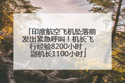 印度航空飞机坠落前发出紧急呼叫！机长飞行经验8200小时，副机长1100小时