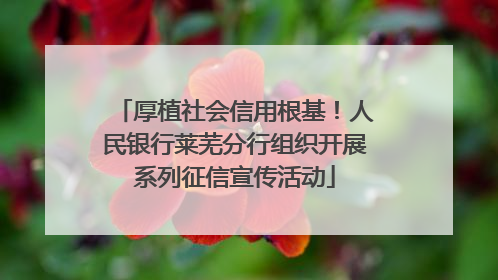 厚植社会信用根基！人民银行莱芜分行组织开展系列征信宣传活动