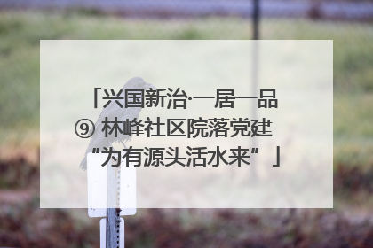 兴国新治·一居一品⑨ 林峰社区院落党建“为有源头活水来”
