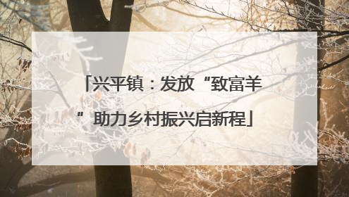 兴平镇：发放“致富羊”助力乡村振兴启新程
