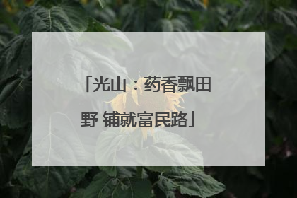 光山：药香飘田野 铺就富民路