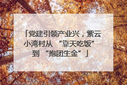 党建引领产业兴，紫云小湾村从 “靠天吃饭” 到 “抱团生金”