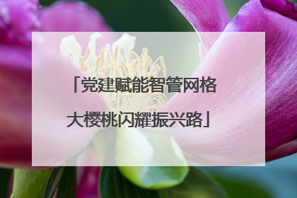 党建赋能智管网格 大樱桃闪耀振兴路