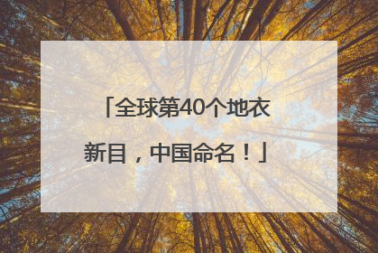 全球第40个地衣新目，中国命名！
