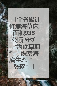 全省累计修复海草床面积938公顷 守护“海底草原”，织密海底生态“一张网”