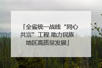 全省统一战线“同心共富”工程 助力民族地区高质量发展