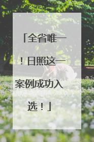 全省唯一！日照这一案例成功入选！