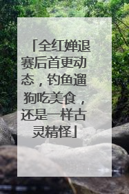 全红婵退赛后首更动态，钓鱼遛狗吃美食，还是一样古灵精怪