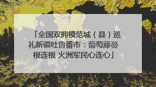 全国双拥模范城（县）巡礼新疆吐鲁番市：葡萄藤蔓根连根 火洲军民心连心