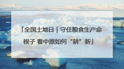 全国土地日｜守住粮食生产命根子 看中原如何“耕”新