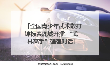 全国青少年武术散打锦标赛鹿城开擂 “武林高手”强强对话